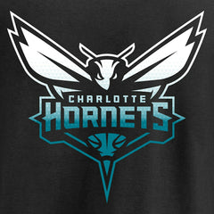 Charlotte Hornets Gradient Logo T-Shirt - Black for sale