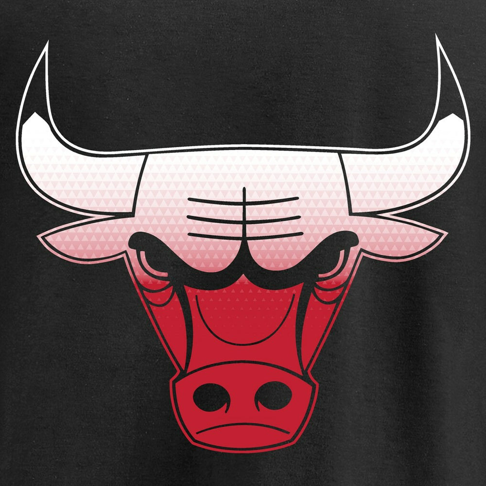 Chicago Bulls Gradient Logo Pullover Hoodie - Black cheap