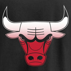 Chicago Bulls Gradient Logo Pullover Hoodie - Black cheap