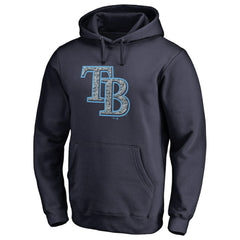 Tampa Bay Rays Static Logo Pullover Hoodie - Navy