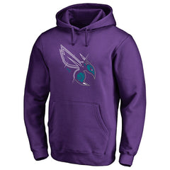 Charlotte Hornets X-Ray Pullover Hoodie - Purple cheap
