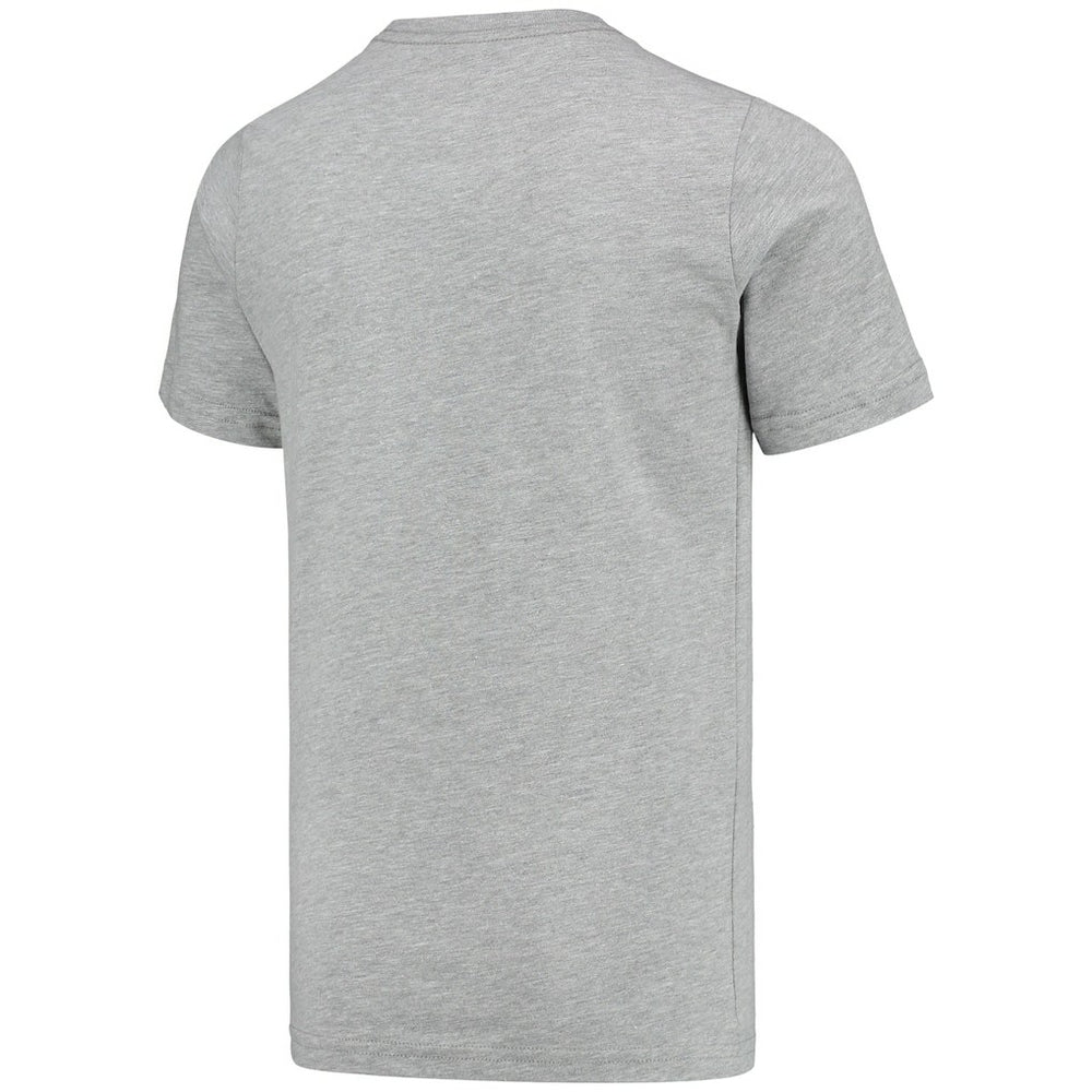 Larry Johnson Charlotte Hornets Youth Hardwood Classics King of the Court Player T-Shirt - Gray | Mitchell & Ness for sale