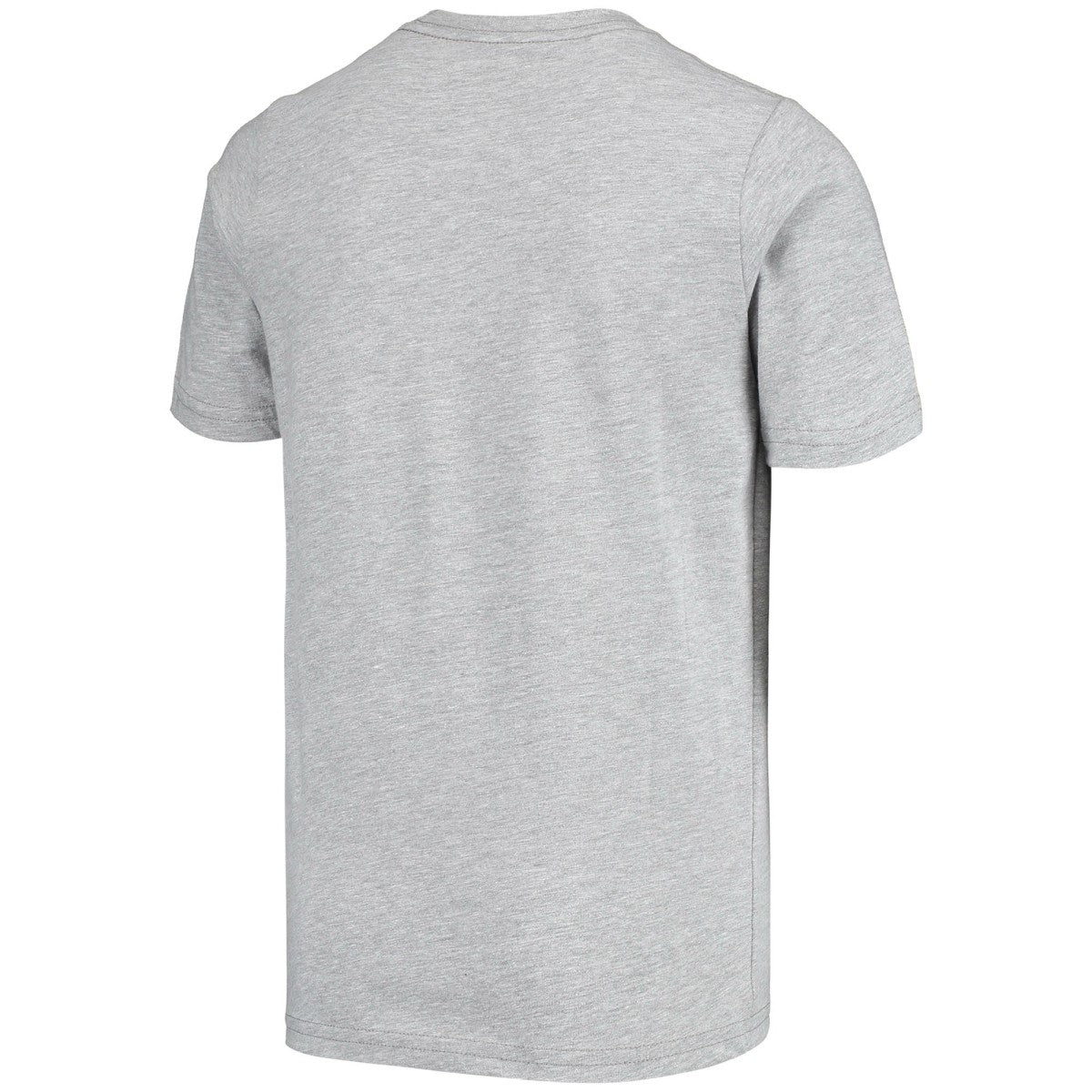 Jason Williams Sacramento Kings Youth Hardwood Classics King of the Court Player T-Shirt - Gray | Mitchell & Ness for sale