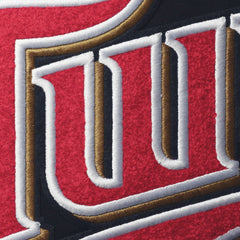 Minnesota Twins Pro Standard Team T-Shirt - Navy