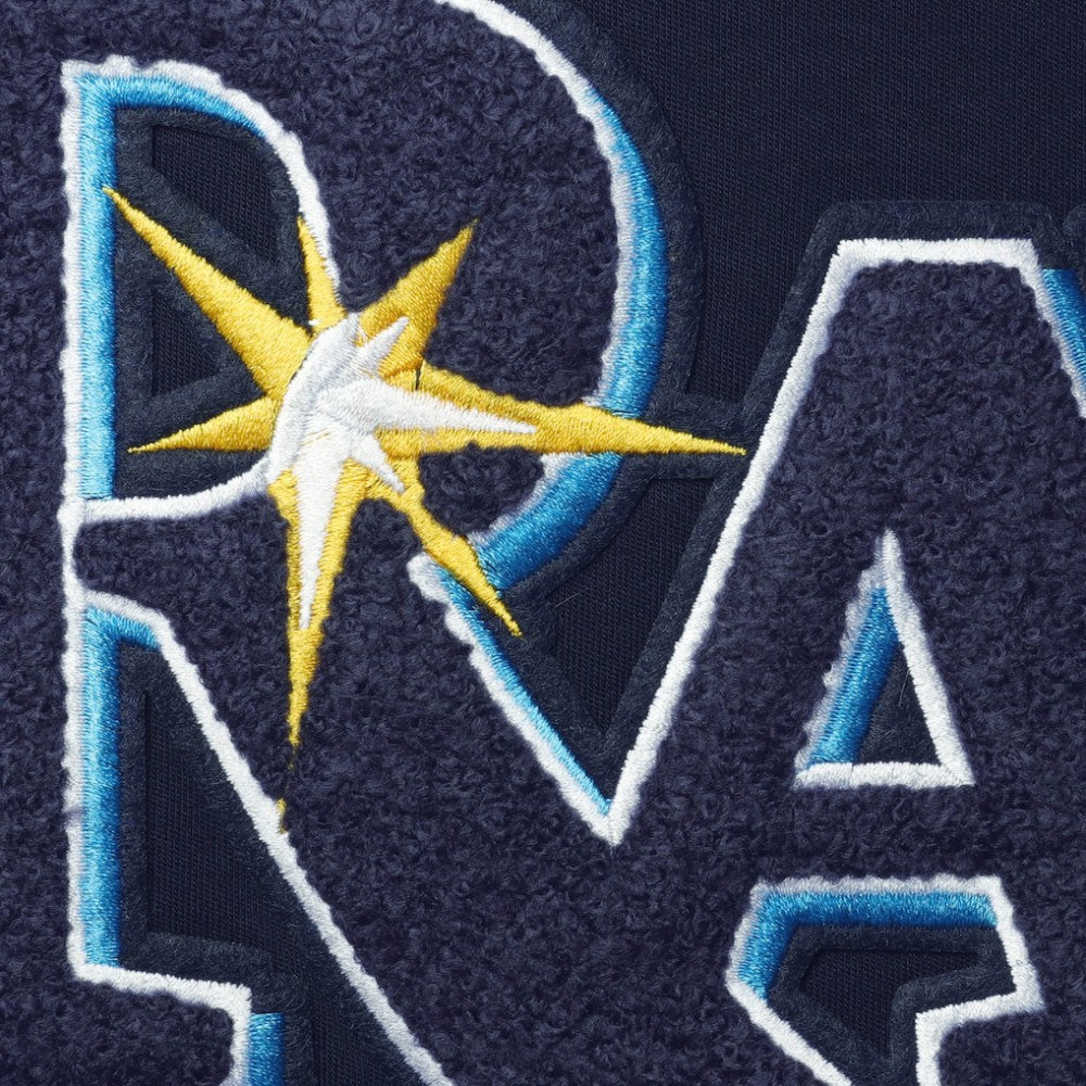 Tampa Bay Rays Pro Standard Team T-Shirt - Navy