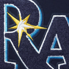 Tampa Bay Rays Pro Standard Team T-Shirt - Navy