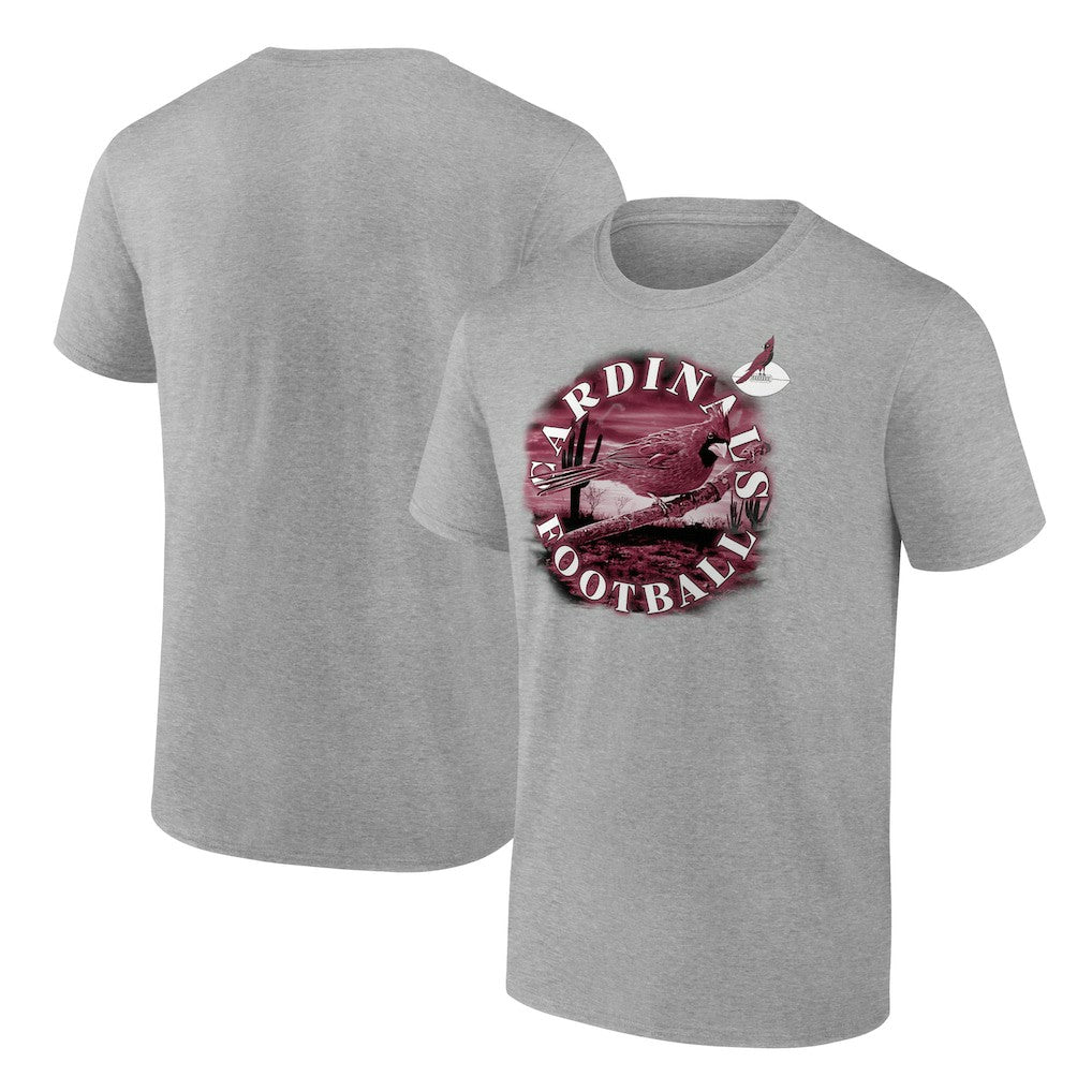 Arizona Cardinals Big & Tall Sporting Chance T-Shirt - Heathered Gray sale