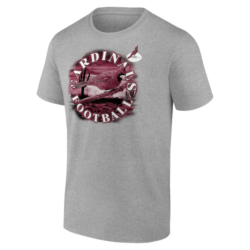 Arizona Cardinals Big & Tall Sporting Chance T-Shirt - Heathered Gray sale