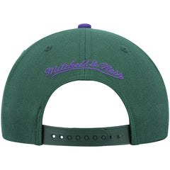 Milwaukee Bucks Hardwood Classics Team Two-Tone 2.0 Snapback Hat - Green/Purple | Mitchell & Ness on sale
