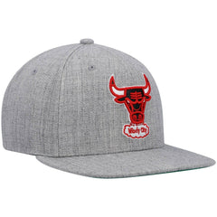 Chicago Bulls Hardwood Classics Team 2.0 Snapback Hat - Heathered Gray | Mitchell & Ness on sale