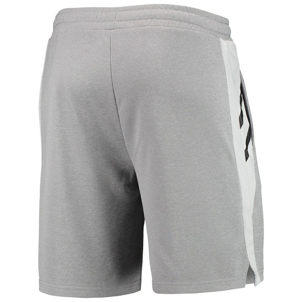 Brooklyn Nets Concepts Sport Stature Shorts - Gray discount