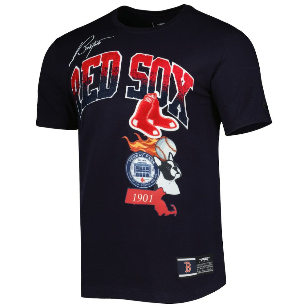 Boston Red Sox Pro Standard Hometown T-Shirt - Navy