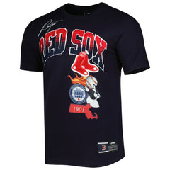 Boston Red Sox Pro Standard Hometown T-Shirt - Navy