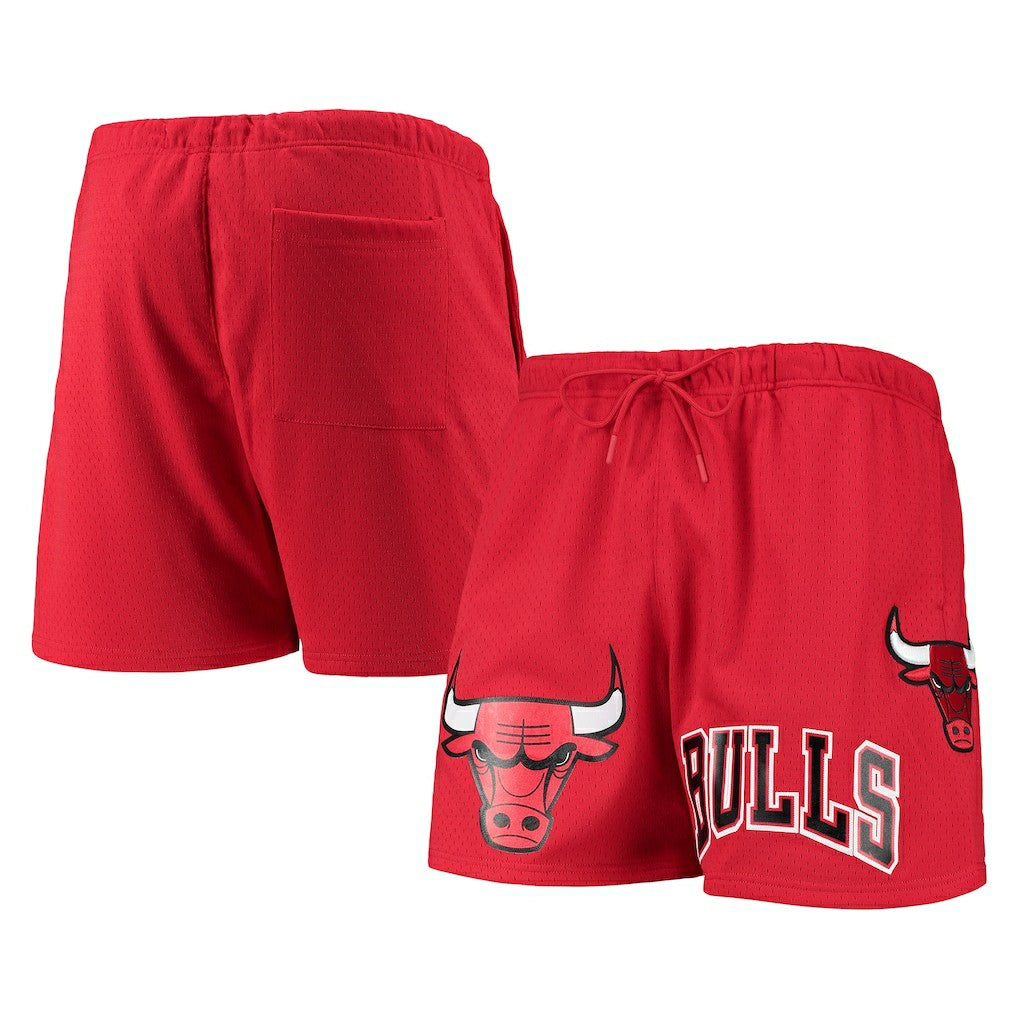 Chicago Bulls Pro Standard Mesh Capsule Shorts - Red on sale