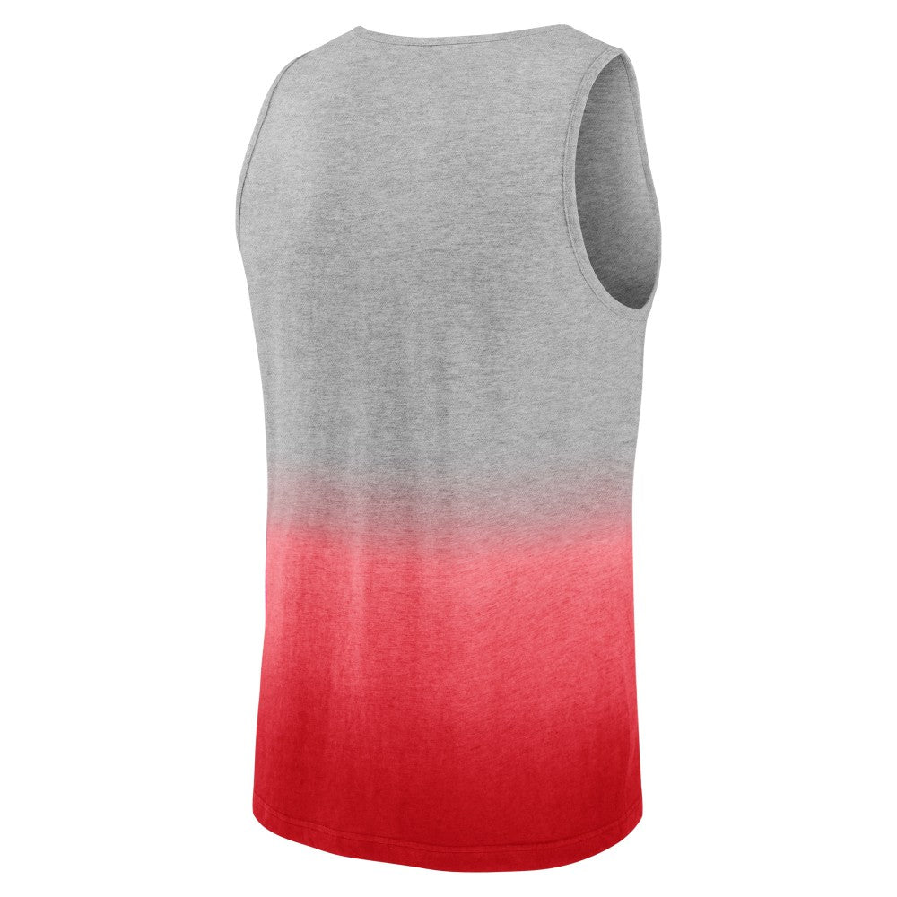 St. Louis Cardinals Our Year Tank Top - Gray/Red
