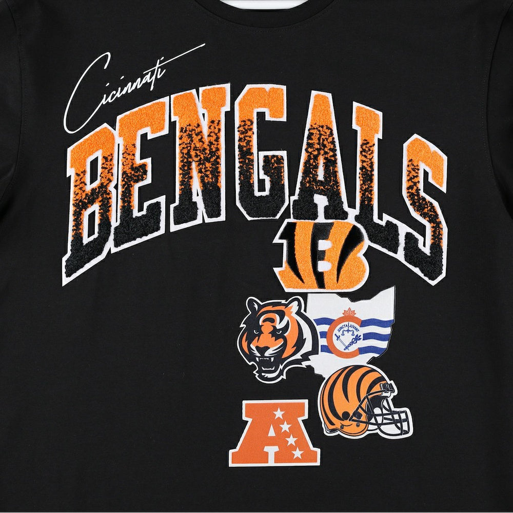 Cincinnati Bengals Pro Standard Hometown Collection T-Shirt - Black for sale