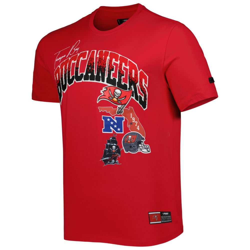 Tampa Bay Buccaneers Pro Standard Hometown Collection T-Shirt - Red online