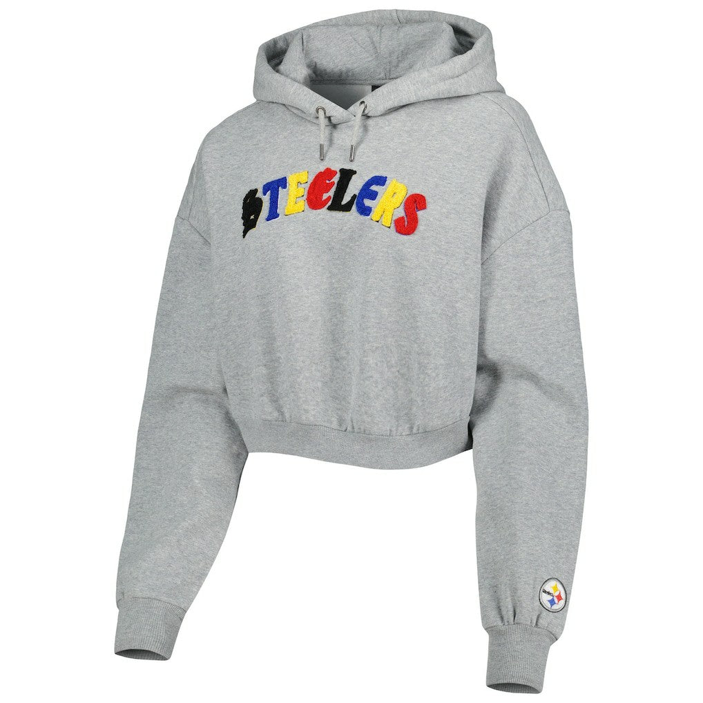 Pittsburgh Steelers The Wild Collective Women's Cropped Pullover Hoodie - Gray outlet