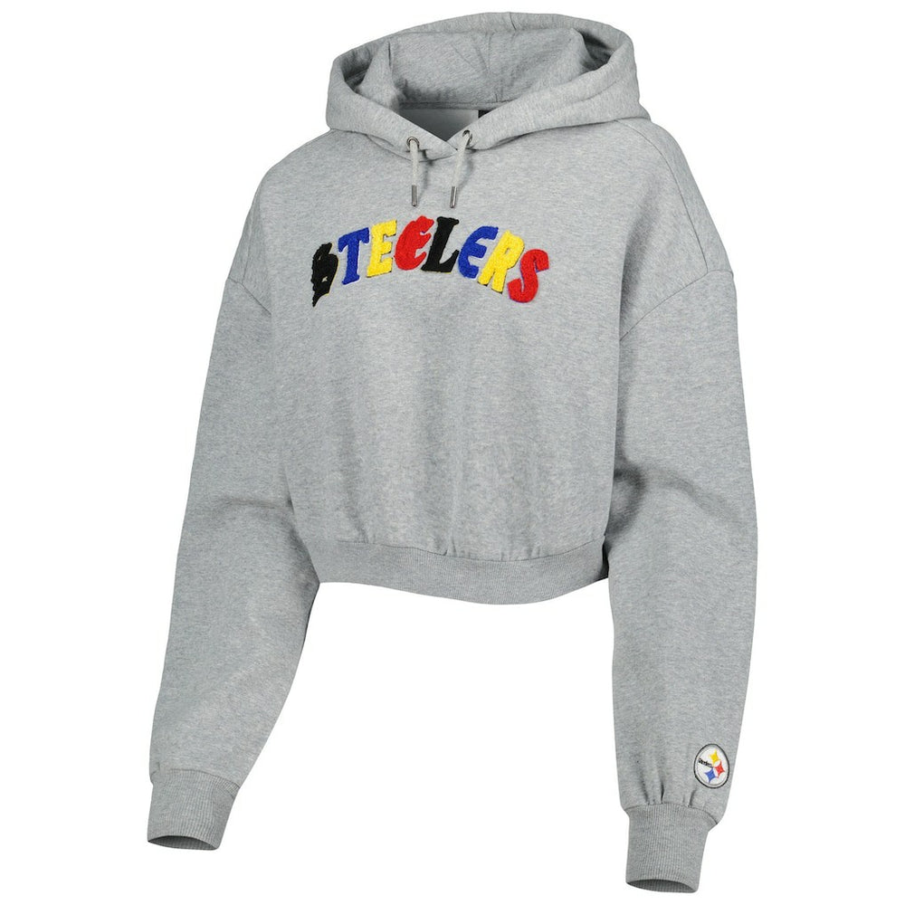 Pittsburgh Steelers The Wild Collective Women's Cropped Pullover Hoodie - Gray outlet
