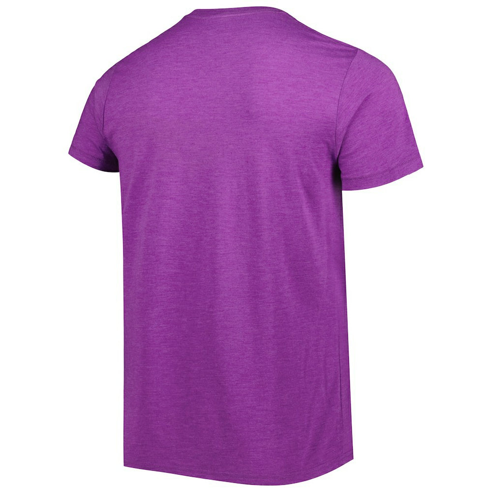 Minnesota Vikings Homage Dome Dog Hyper Local Tri-Blend T-Shirt - Purple outlet