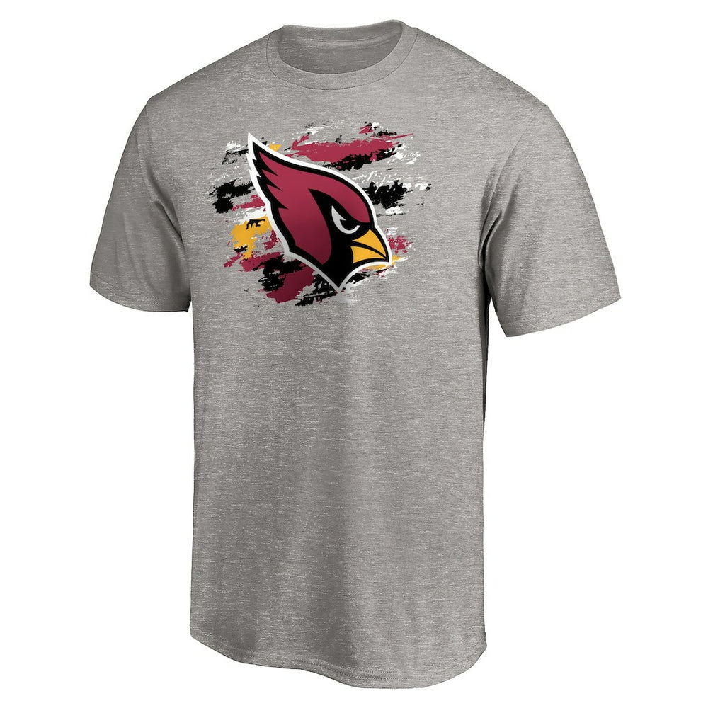 Arizona Cardinals True Color T-Shirt - Heather Gray on sale