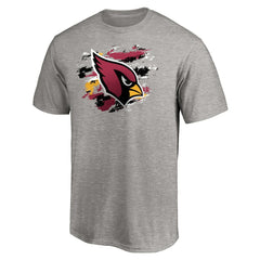 Arizona Cardinals True Color T-Shirt - Heather Gray on sale
