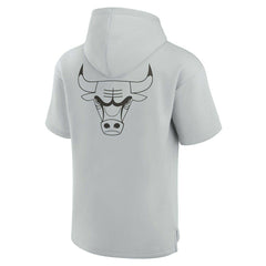 Chicago Bulls Unisex Elements Super Soft Fleece Short Sleeve Pullover Hoodie sale - Gray | Fanatics shop