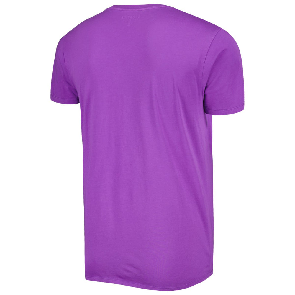 Phoenix Suns Sportiqe Unisex Hardwood Classics Bingham Elevated T-Shirt - Purple discount