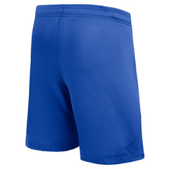 Barcelona Youth 2023/24 Away Stadium Performance Shorts - Royal | Nike shop