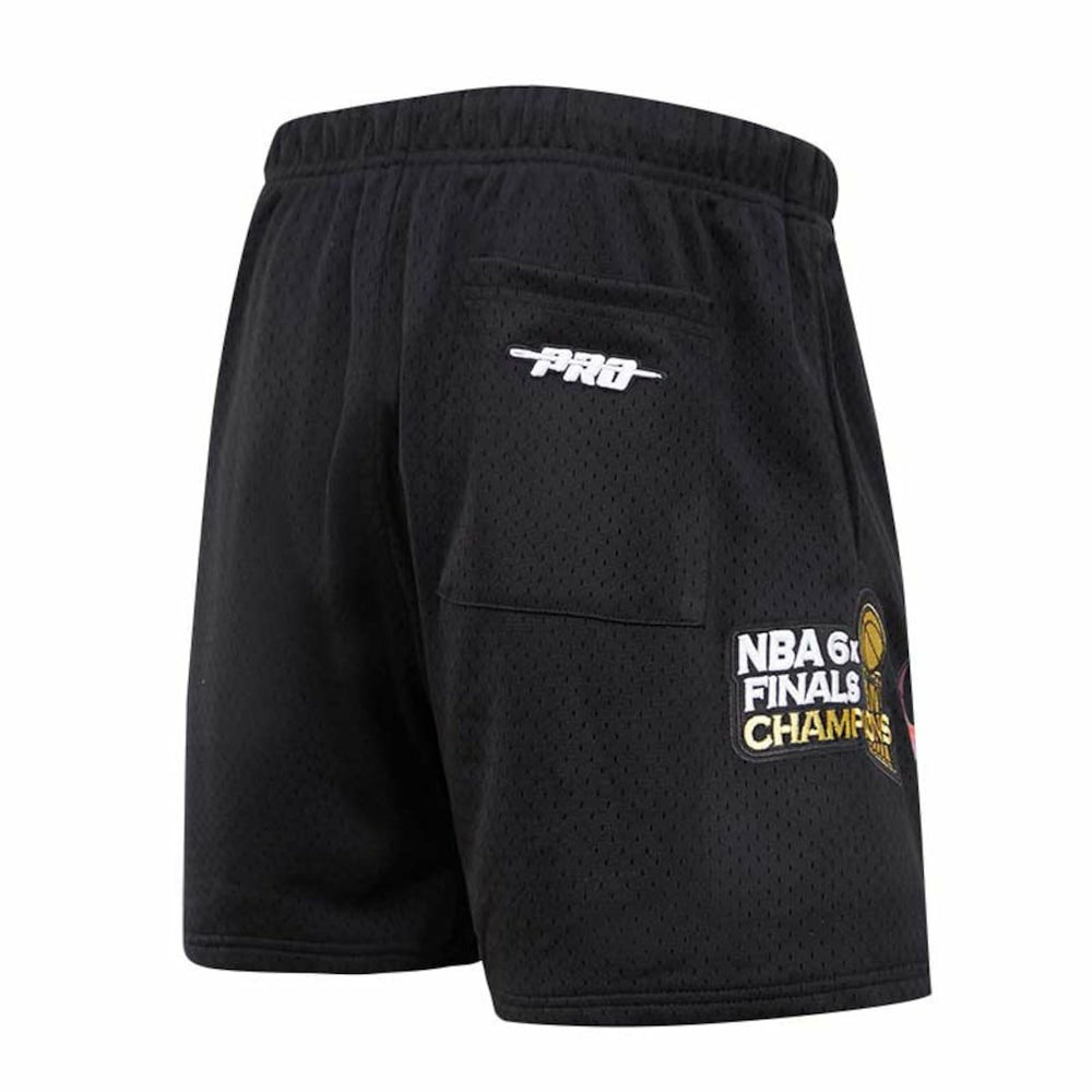 Chicago Bulls Pro Standard City Scape Mesh Shorts - Black outlet