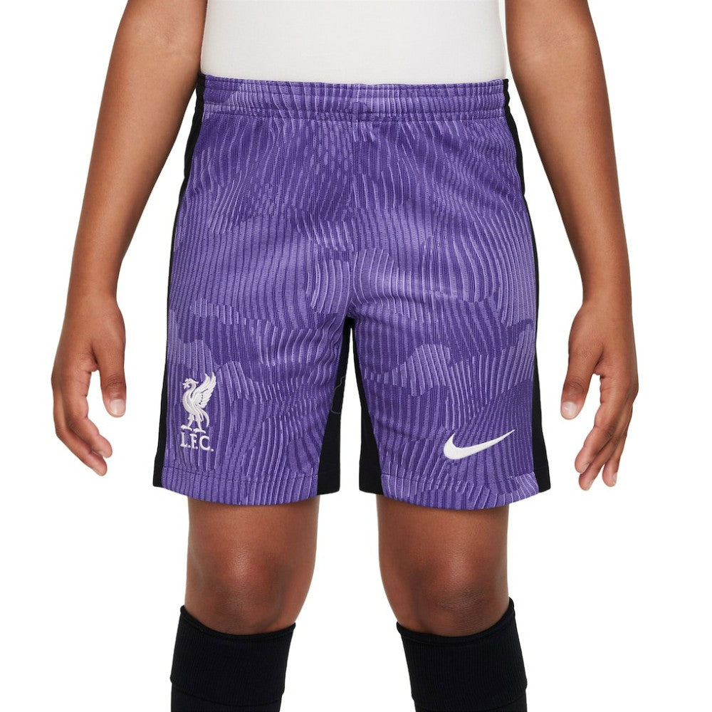 Liverpool Youth 2023/24 Third Stadium Performance Shorts - Purple | Nike outlet