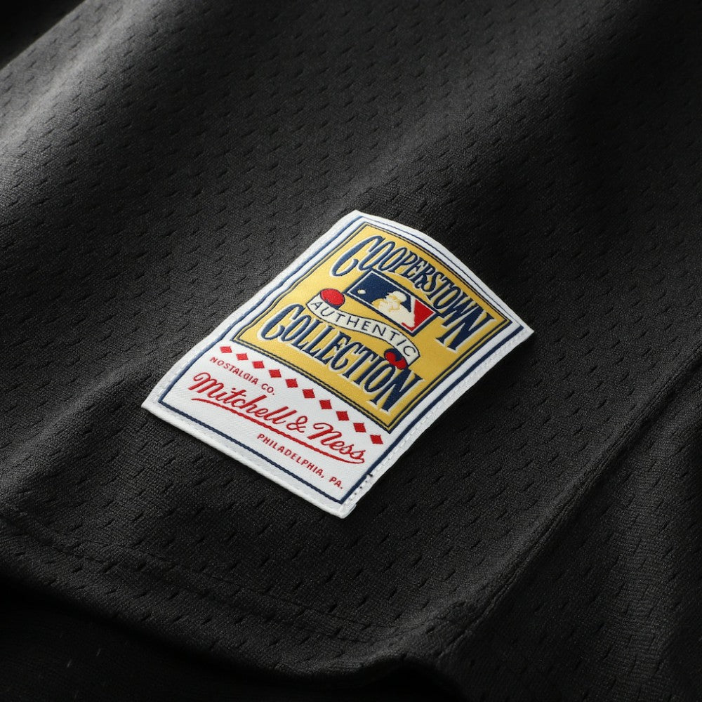Craig Biggio Houston Astros Authentic Batting Practice Jersey - Black | Mitchell & Ness