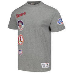 St. Louis Cardinals Cooperstown Collection City Collection T-Shirt - Heather Gray | Mitchell & Ness