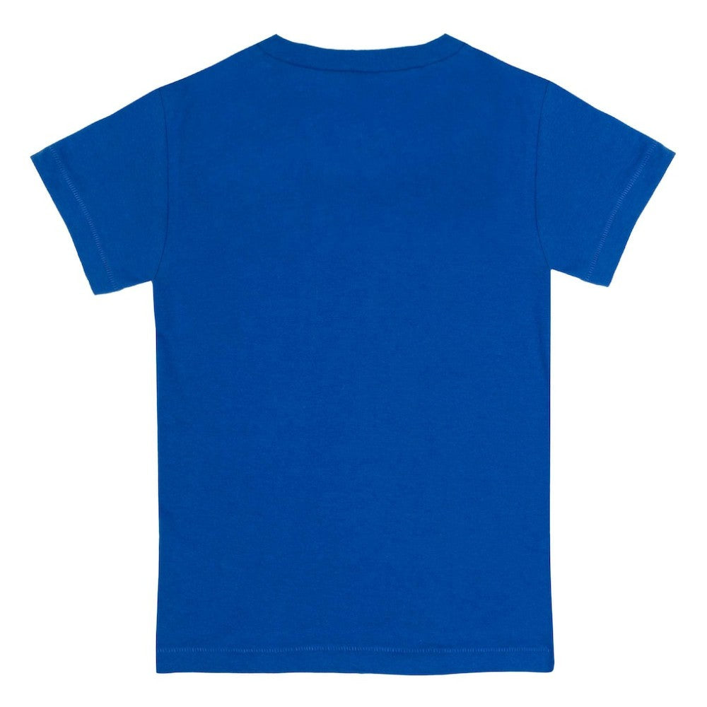Chicago Cubs Tiny Turnip Youth Base Stripe T-Shirt - Royal