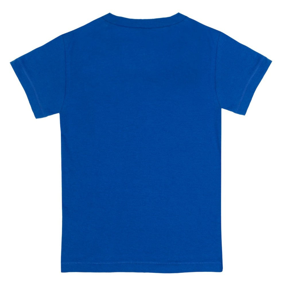 Chicago Cubs Tiny Turnip Youth Stitched Baseball T-Shirt - Royal