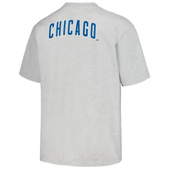 Chicago Cubs PLEASURES Mascot T-Shirt - Gray