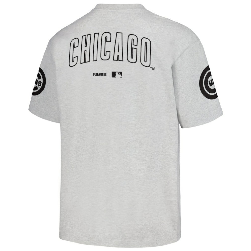 Chicago Cubs PLEASURES Team T-Shirt - Gray