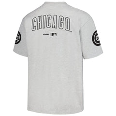 Chicago Cubs PLEASURES Team T-Shirt - Gray