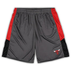 Chicago Bulls Big & Tall Shorts - Gray | Fanatics for sale