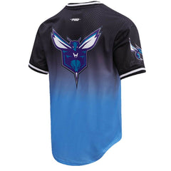 LaMelo Ball Charlotte Hornets Post Ombre Name & Number T-Shirt - Navy/Blue online