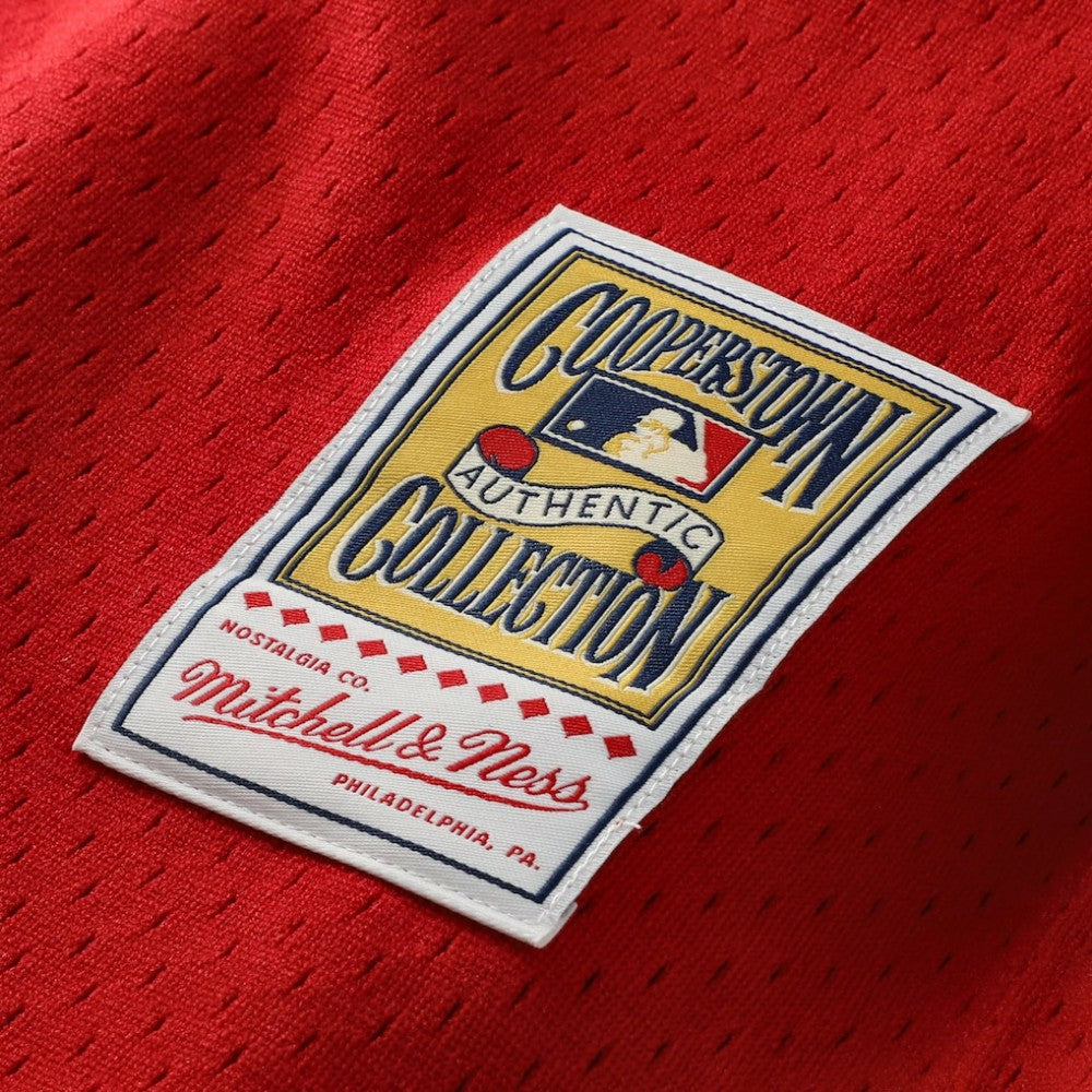 Johnny Bench Cincinnati Reds Authentic Batting Practice Jersey - Scarlet | Mitchell & Ness