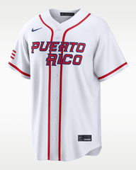 Martín Maldonado Puerto Rico National Baseball Team 2026 World Baseball Classic - WBC